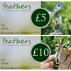 Feathers Gift Vouchers