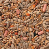 Seeds and Peanuts