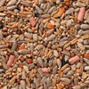 Johnston and Jeff Premium Wild Bird Food