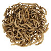 Cheap Dried Mealworms