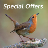 Feathers Wild Bird Care Special Offers
